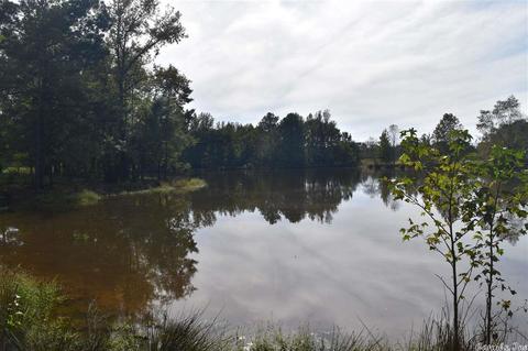 100 Wallis Rd, Rison, AR 71665 photo 19