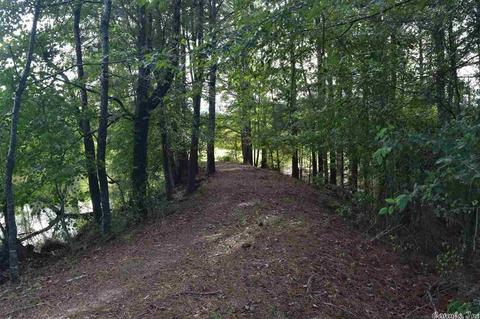100 Wallis Rd, Rison, AR 71665 photo 39