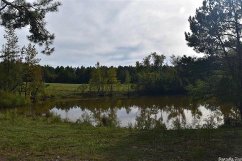 100 Wallis Rd, Rison, AR 71665 photo 38