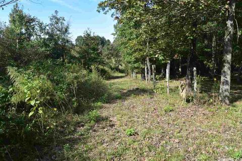 100 Wallis Rd, Rison, AR 71665 photo 34