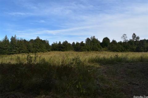 100 Wallis Rd, Rison, AR 71665 photo 30