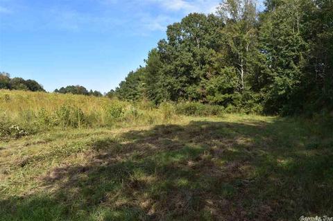 100 Wallis Rd, Rison, AR 71665 photo 36