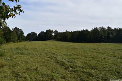 100 Wallis Rd, Rison, AR 71665 photo 40