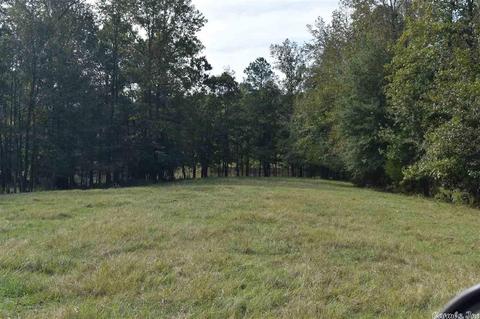 100 Wallis Rd, Rison, AR 71665 photo 18