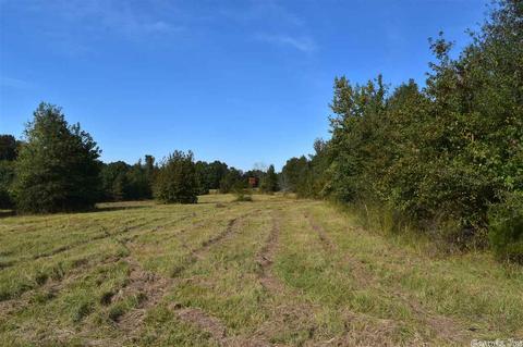 100 Wallis Rd, Rison, AR 71665 photo 24