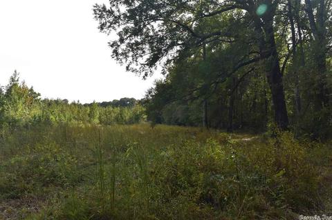 100 Wallis Rd, Rison, AR 71665 photo 27