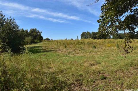 100 Wallis Rd, Rison, AR 71665 photo 35