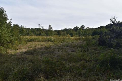 100 Wallis Rd, Rison, AR 71665 photo 29