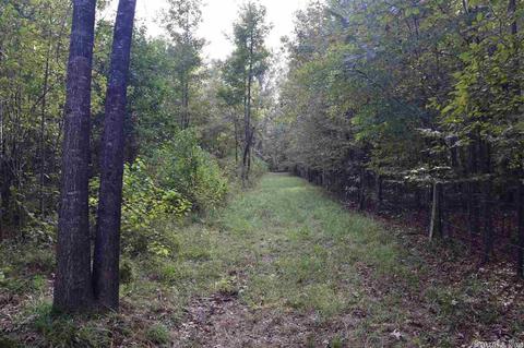100 Wallis Rd, Rison, AR 71665 photo 31