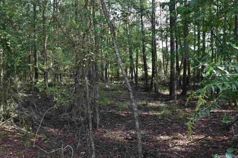 100 Wallis Rd, Rison, AR 71665 photo 37