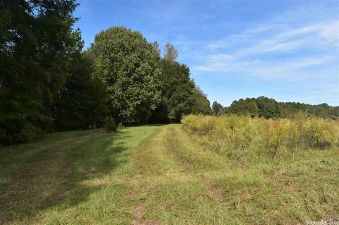 100 Wallis Rd, Rison, AR 71665 photo 21