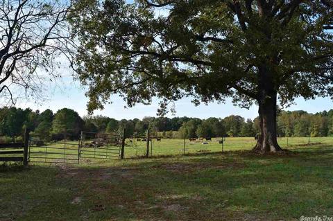 100 Wallis Rd, Rison, AR 71665 photo 15