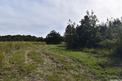 100 Wallis Rd, Rison, AR 71665 photo 22