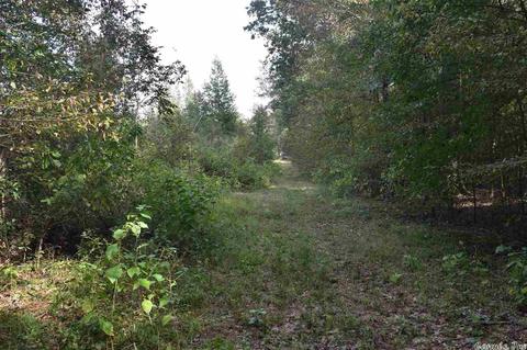100 Wallis Rd, Rison, AR 71665 photo 33