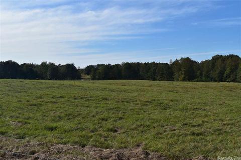 100 Wallis Rd, Rison, AR 71665 photo 14
