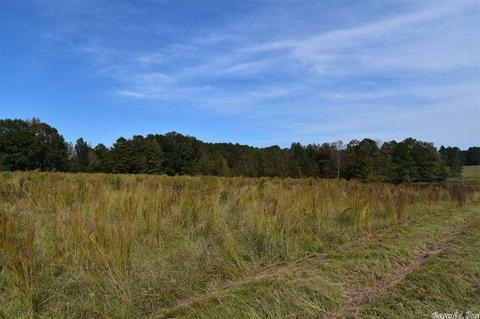 100 Wallis Rd, Rison, AR 71665 photo 23