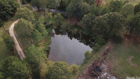 100 Wallis Rd, Rison, AR 71665 photo 5