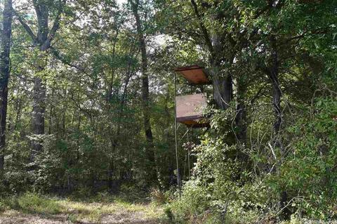 100 Wallis Rd, Rison, AR 71665 photo 26