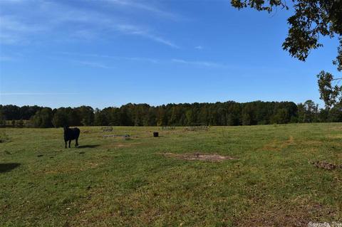 100 Wallis Rd, Rison, AR 71665 photo 17