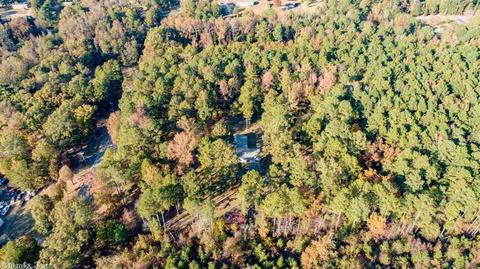 20307 Chicot Rd, Mabelvale, AR 72103 photo 6