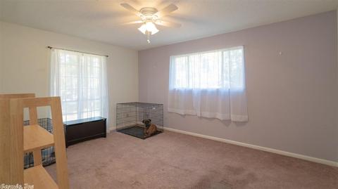 20307 Chicot Rd, Mabelvale, AR 72103 photo 17