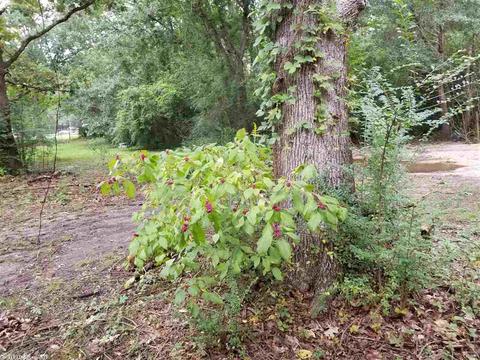 7200 Hwy 79 S, Pine Bluff, AR 71603 photo 9