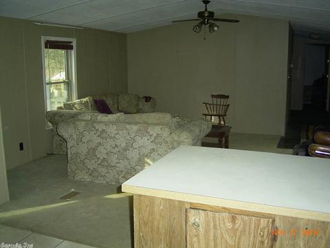 120 Comet Ln, Mountain Pine, AR 71956 photo 4