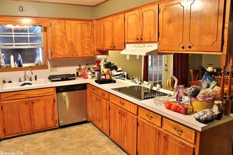 4 Maddox Dr, Quitman, AR 72131 photo 17