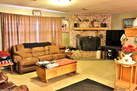 4 Maddox Dr, Quitman, AR 72131 photo 13