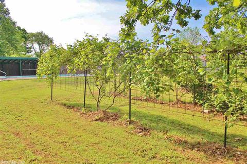 4 Maddox Dr, Quitman, AR 72131 photo 7