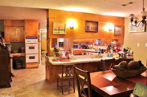 4 Maddox Dr, Quitman, AR 72131 photo 16