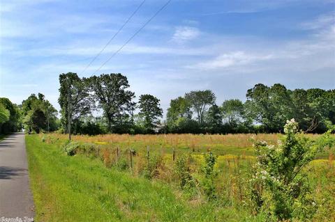 4 Maddox Dr, Quitman, AR 72131 photo 11