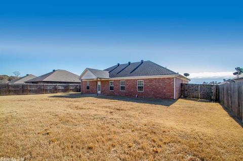 8172 North Hvn, Alexander, AR 72002 photo 35