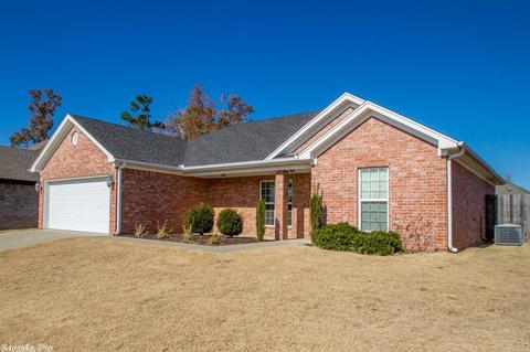 8172 North Hvn, Alexander, AR 72002 photo 3