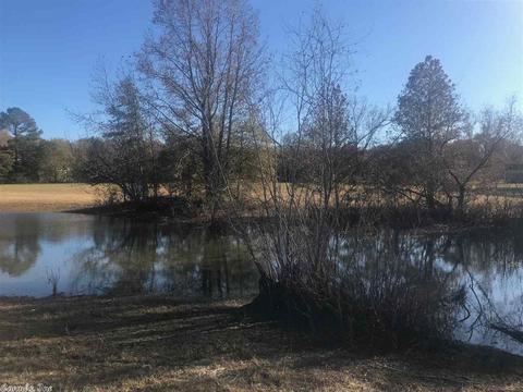 15217 Chicot Rd, Mabelvale, AR 72103 photo 12