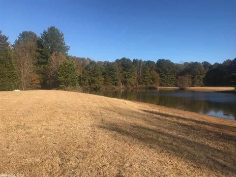 15217 Chicot Rd, Mabelvale, AR 72103 photo 11