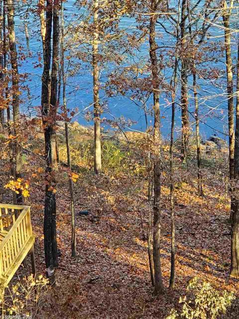 554 Valhalla Dr, Edgemont, AR 72044 photo 39