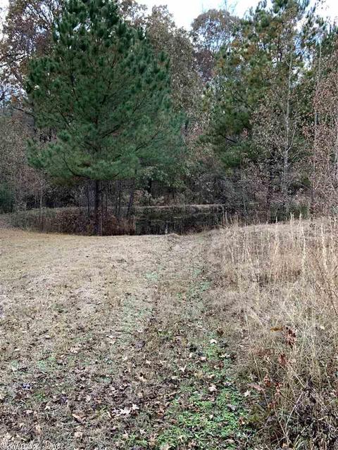 8421 Mi Ln, Benton, AR 72015 photo 17