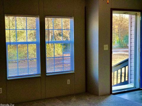 273 Comet Ln, Mountain Pine, AR 71956 photo 13