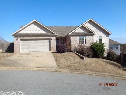 1014 Clinton Ct, Alexander, AR 72002 photo 1