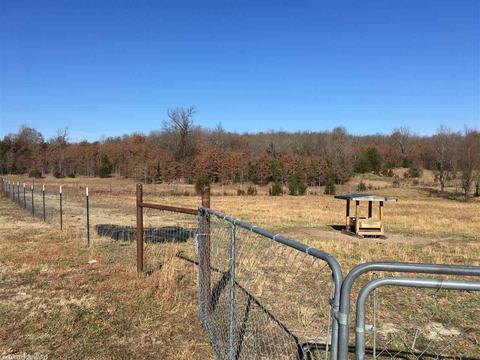 442 Heart Rd, Glencoe, AR 72539 photo 9