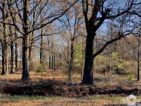 525 Bowen Rd, Lonoke, AR 72086 photo 1