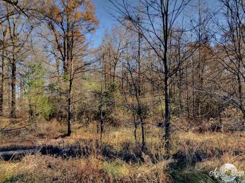 525 Bowen Rd, Lonoke, AR 72086 photo 4