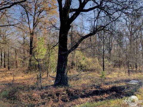 525 Bowen Rd, Lonoke, AR 72086 photo 2