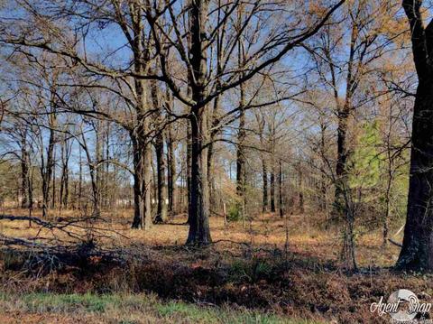 525 Bowen Rd, Lonoke, AR 72086 photo 3