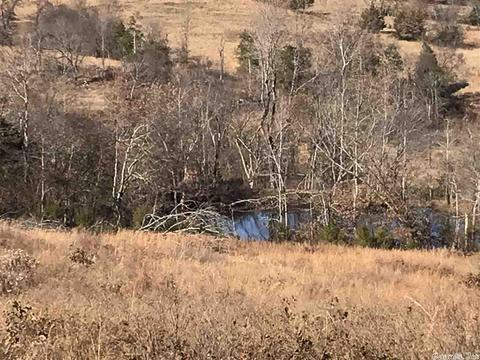 628 Lafferty Rd, Mount Pleasant, AR 72561 photo 5