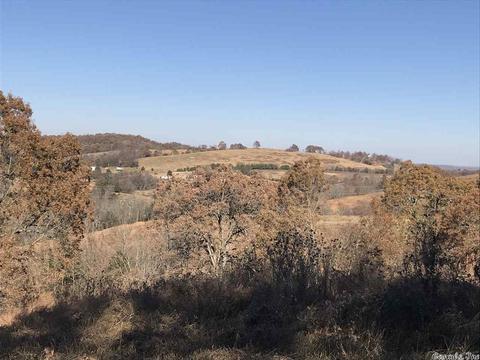 628 Lafferty Rd, Mount Pleasant, AR 72561 photo 3