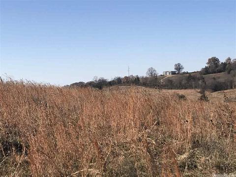 628 Lafferty Rd, Mount Pleasant, AR 72561 photo 11