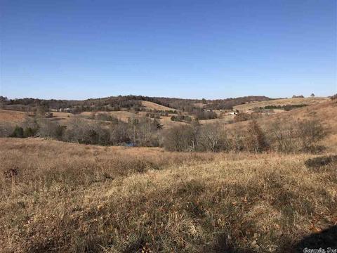 628 Lafferty Rd, Mount Pleasant, AR 72561 photo 4