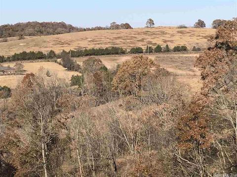 628 Lafferty Rd, Mount Pleasant, AR 72561 photo 9